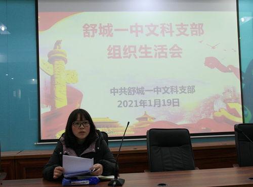 舒城南溪新闻头条,揭秘南溪新区发展新动态，共筑美好未来